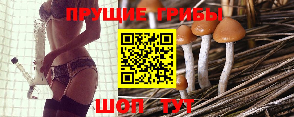 Псилоцибиновые грибы мухоморы Лысьва